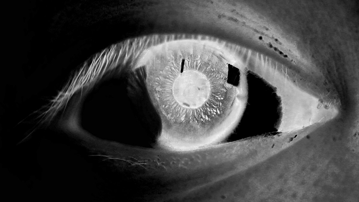 Eye to peer into the truth